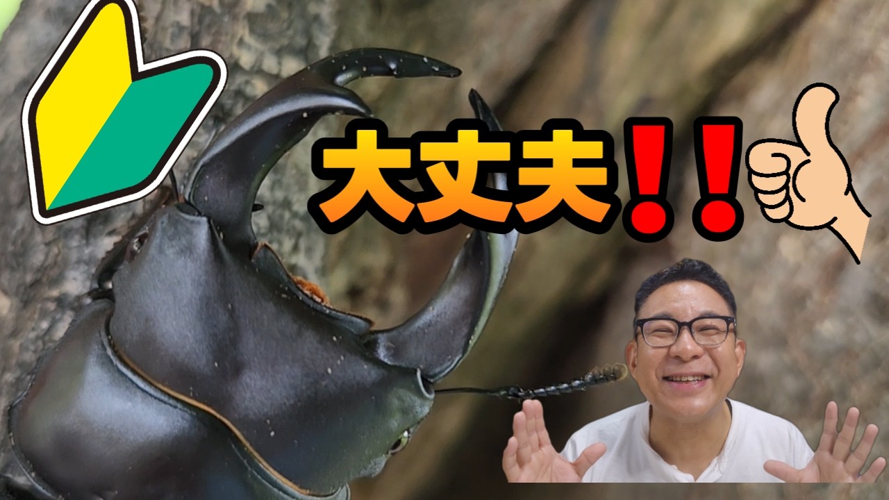 A Must-Watch for Beginners! Pro Tips on How to Breed Giant Stags