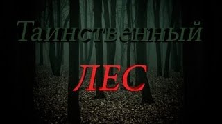 Новый фильм ужасов "Таинственный лес"