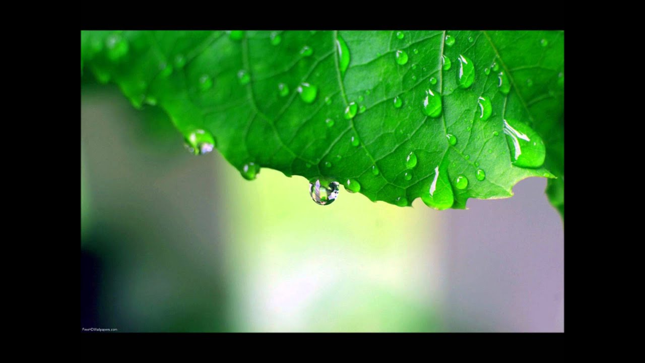 Obejrzyj Roberta Flack & Donny Hathaway - Mood w YouTube Obejrzyj Roberta Flack & Donny Hathaway - Mood w YouTube