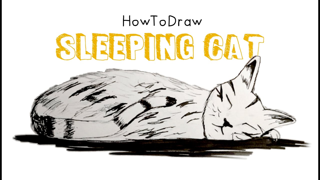 How to Draw a Sleeping Cat 💤💭 - YouTube
