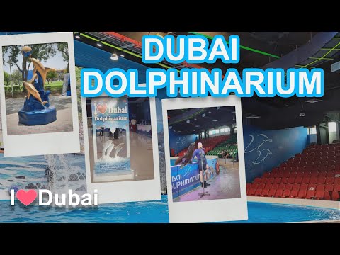 Lets See Dubai Dolphinarium | നമുക്ക് ദുബായിലെ ഡോൾഫിൻ ഷോ ഒന്ന് കണ്ടാലോ | Recommended Place in Dubai