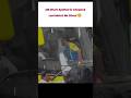 Ms Dhoni Spotted #cricket