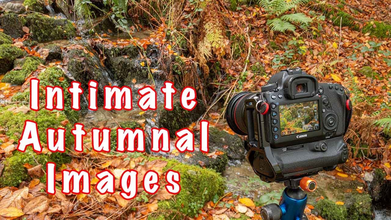 Интимные осенние образы — пейзажная фотография