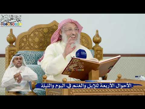 20- الأحوال الأربعة للإبل والغنم في اليوم والليلة - عثمان الخميس