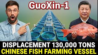 The World’s Largest Floating Fish Farm: How China is Reinventing Seafood
