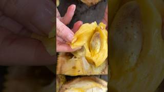 Buah yang sering di kira sama cempedak dan nangka