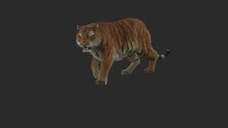 CGI VFX Breakdowns   Making of Tiger for Lilyhammer   by Panoptiqm   TheCGBros