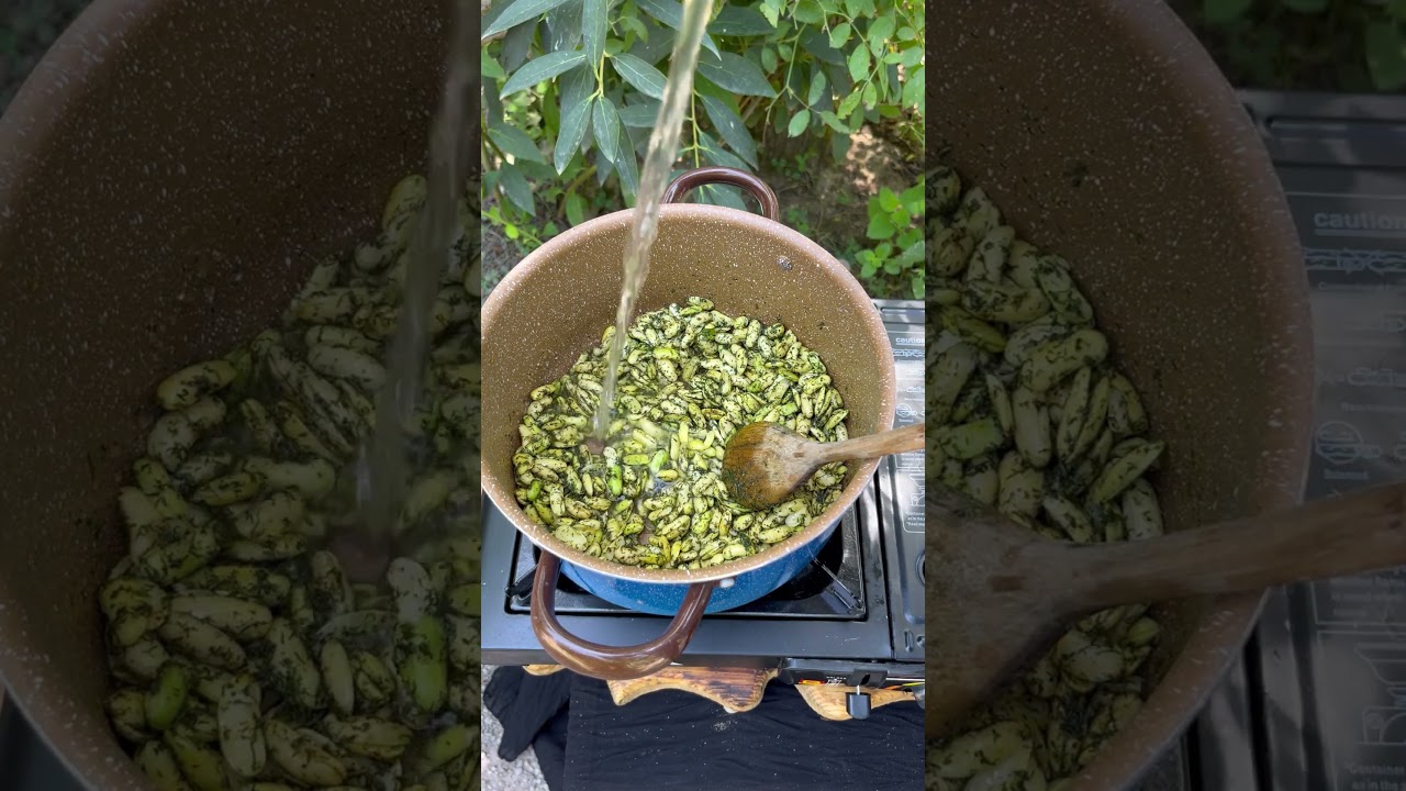 How to Make Baghali Ghatogh | Northern Iranian Bean Stew