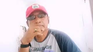 Download Lagu TAK SEBENING HARI FOR UDIEN MP3