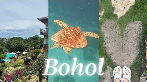 Bohol🇵🇭 ep.1 역대급 존예 숙소 아마렐라 리조트🌺 발리카삭 호핑투어🐢 보홀 1등 맛집까지😋