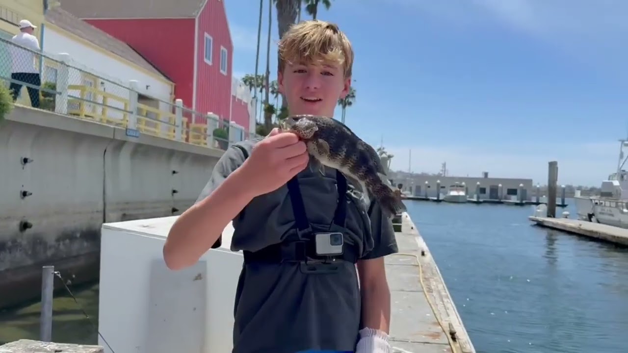 Double up on spotties with 