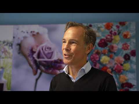 Klaver Lily zoekt collega's: accountmanagement & teamleiders