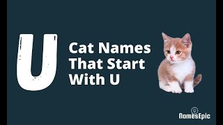 20 Best Cat Names That With U | Girl and Boy Cat Names by NamesEpic 54 views 2 years ago 1 minute, 40 seconds