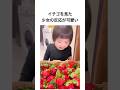 イチゴを見た少女の反応が可愛い