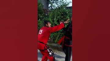 Monkey style demonstration by Shifu Rupam Roy #Shorts #kungfu #monkeystyle #monkeystylekungfu