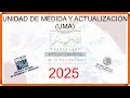 UNIDAD DE MEDIDA Y ACTUALIZACIÓN (UMA) | EDUARDO MORALES