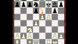 Уроки шахмат  - Гамбит Кохрена 5 d4 Фе8, 5 d4 g6