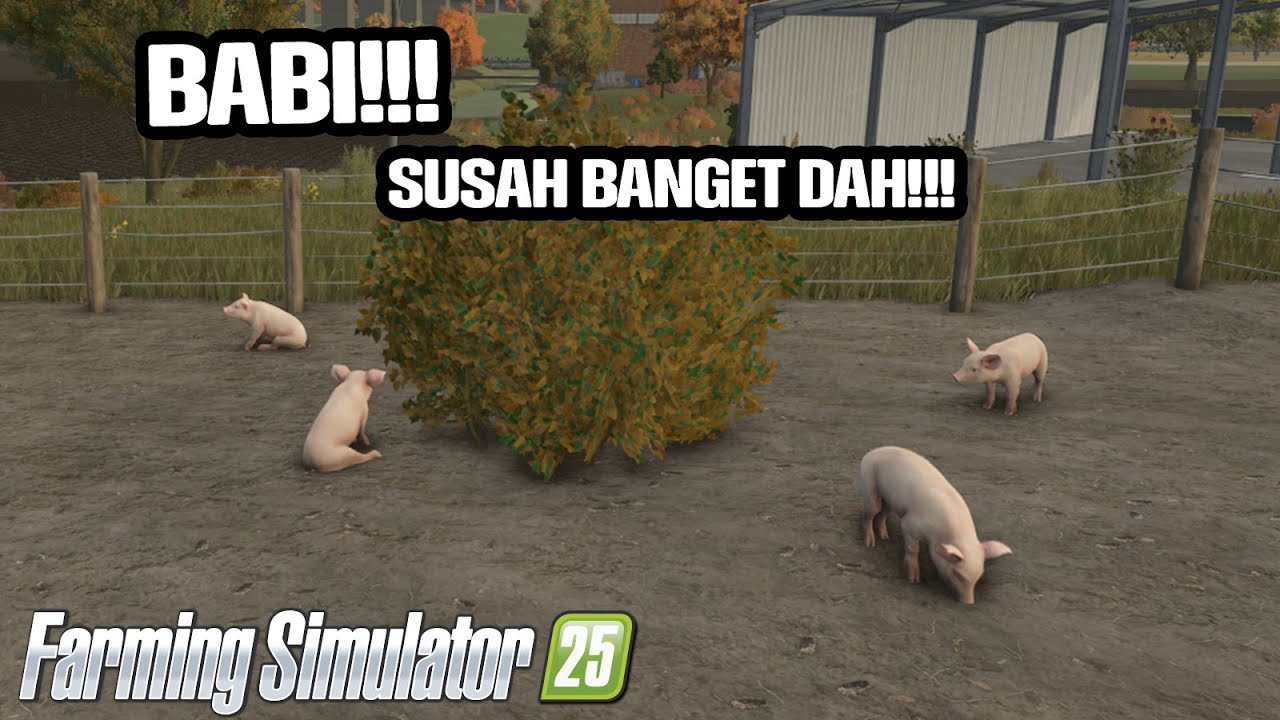 BABI - FARMING SIMULATOR 25 INDONESIA
