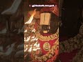 🌺 ஸ்ரீ வெங்கடேசாய நமஃ 🌺 #tirumala #tirupatibalaji #govinda #balaji #venkateswara #shorts #ytshorts