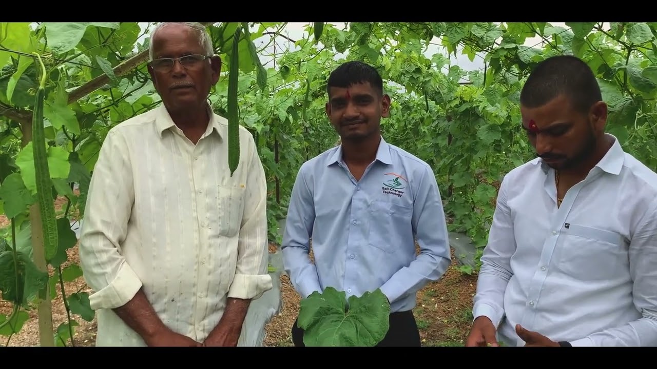 SCTवैदिक ने शेती केली तर शेतकरी बँकांना कर्ज देतील💪6 लाख 3 महिन्यांत दोडक्याने केलं इंप्रेस 😇