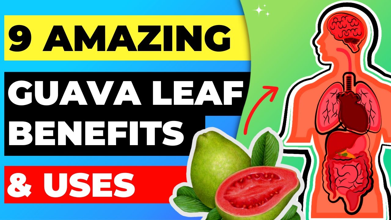 9 Amazing Guava Leaf Benefits And Uses Youtube 