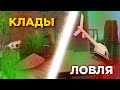 СТРИМ НА АРИЗОНА РП | КЛАДИКИ | ЛОВЛЯ И ЕЩЕ МНОГО ИНТЕРЕСНОГО