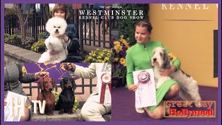 2024 Westminster Kennel Club Dog Show - Behind The Scenes