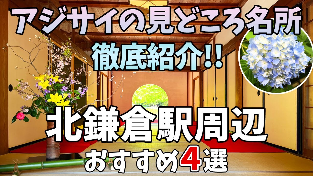 【北鎌倉】アジサイの名所とともに半日で楽しめる北鎌倉駅周辺の観光スポットを紹介！！