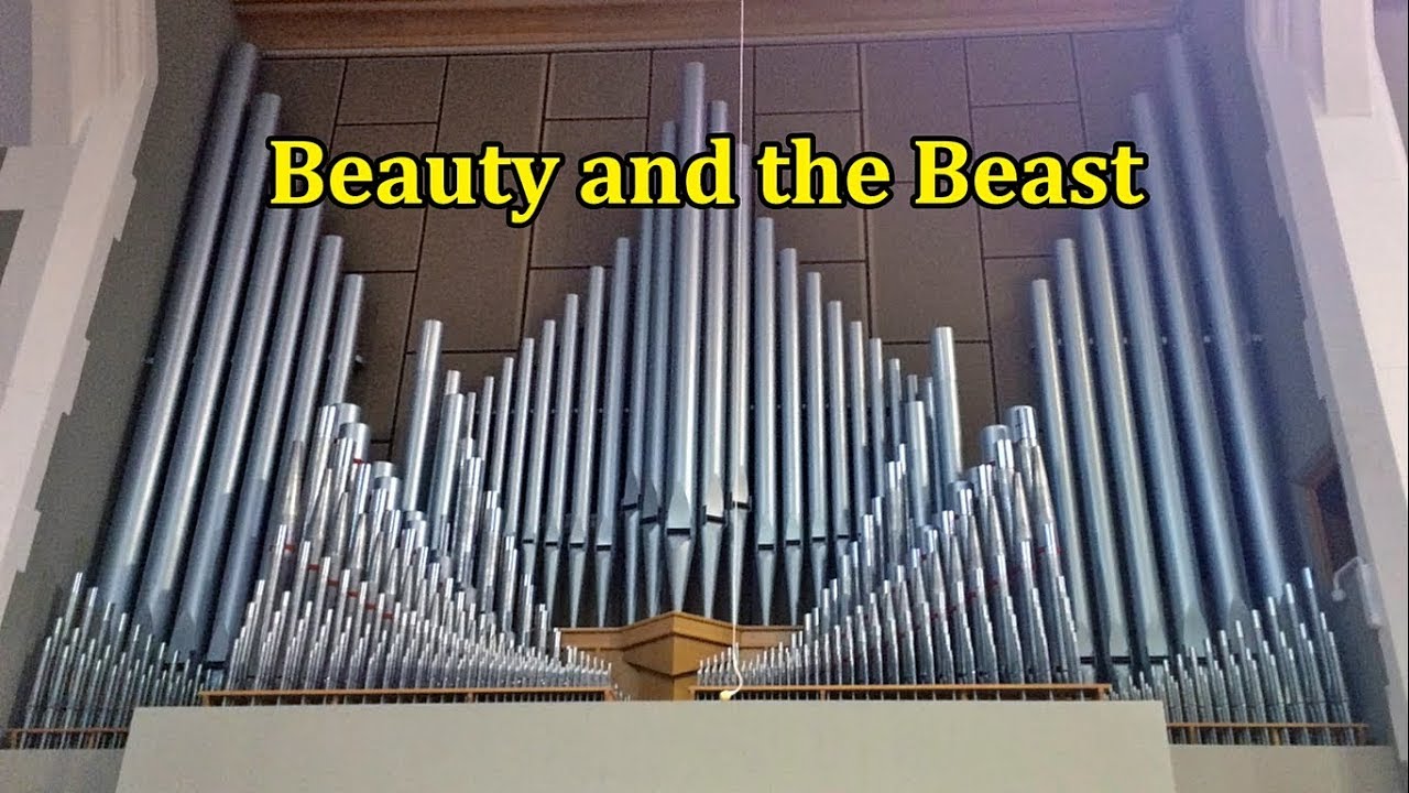 Beauty and the Beast Cover, Medley) YouTube