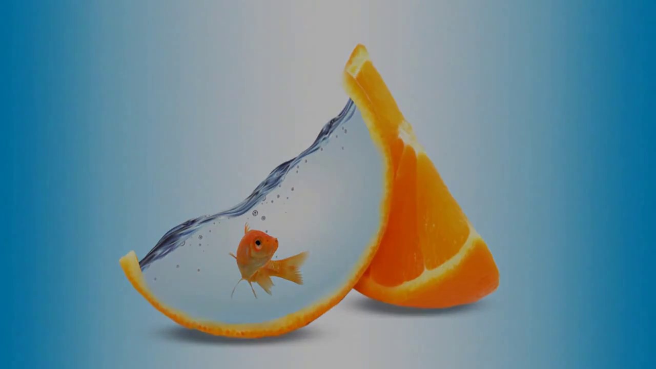 Photoshop Tutorial-Photo Manipulation 2017