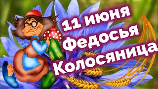 11 июня Федосья Колосяница. Бабки-ржаницы начинают проказничать