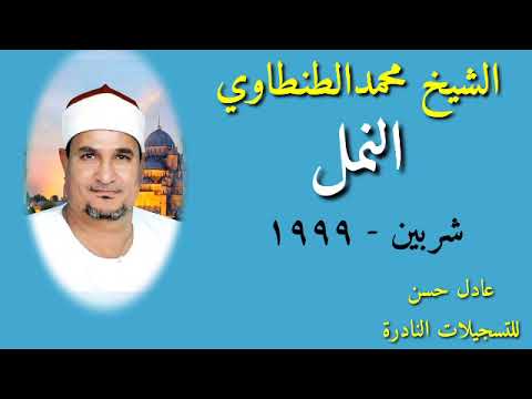 الشيخ محمد الطنطاوي النمل شربين 