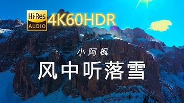 小阿枫-风中听落雪[4K60HDR-中文字幕]