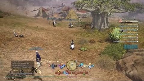 FF14 caught bots hacking