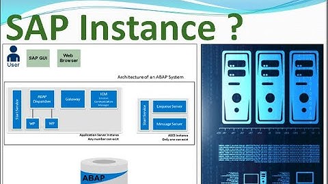 10. SAP Instances