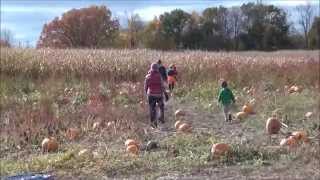 Pumpkin Patch Pals