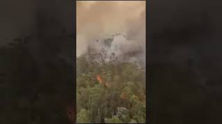 Grave incendio forestal en Asturias #fire #reels #asturias #viral #viralshorts #incendio #shorts