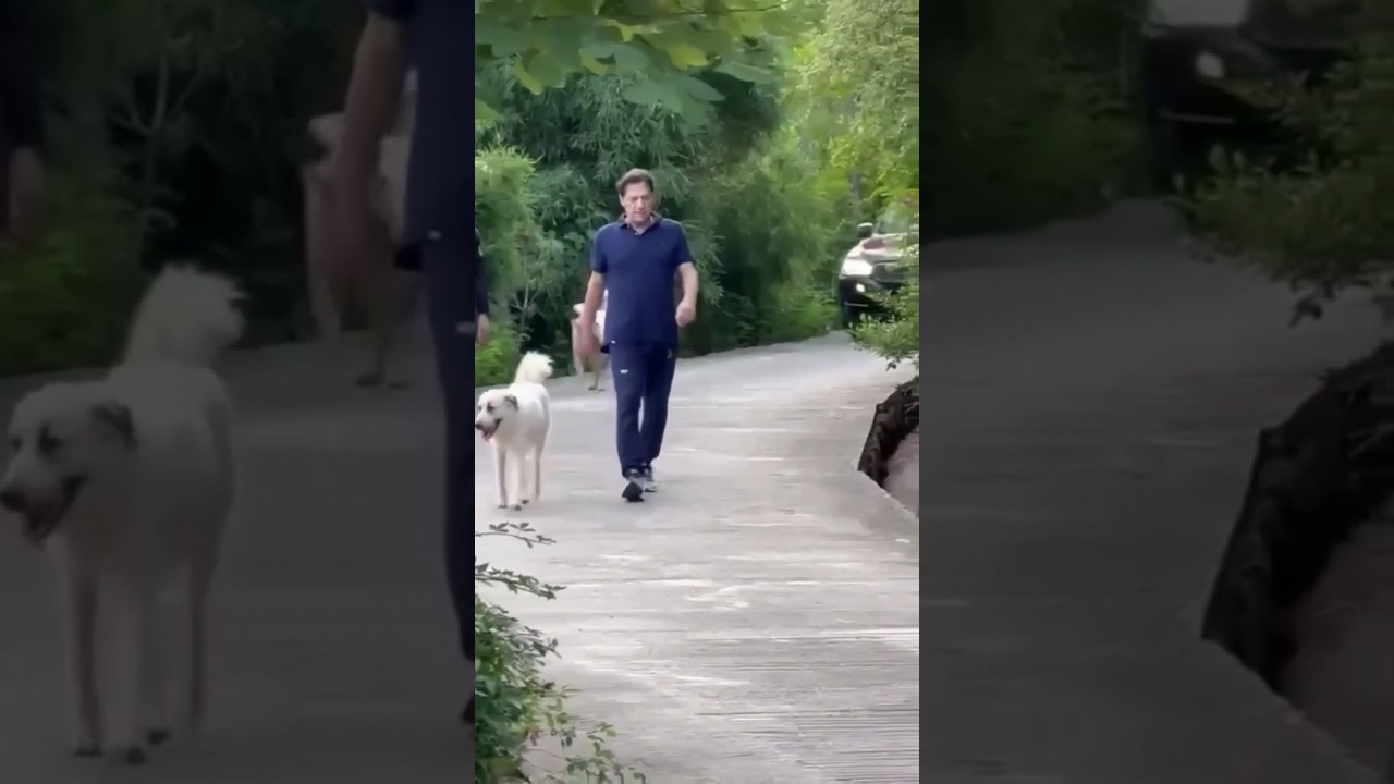 Our Future Prime minister of Islamic Republic of Pakistan, Imran Khan The Legend 