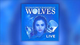 Selena gomez - wolves live at the ama's ...