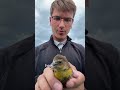 More bird spotlights and animals coming soon. Stay tuned for more shenanigans. #wildlife #birds