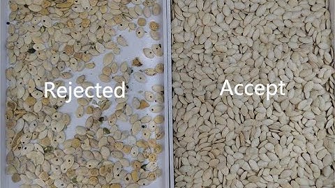 pumpkin seeds deep learning color sorter