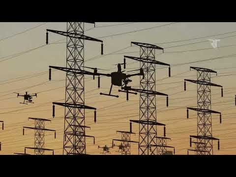 Willow Trie: Faster, Smarter, Better Data Management!