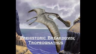 Prehistoric Breakdown: Tropeognathus
