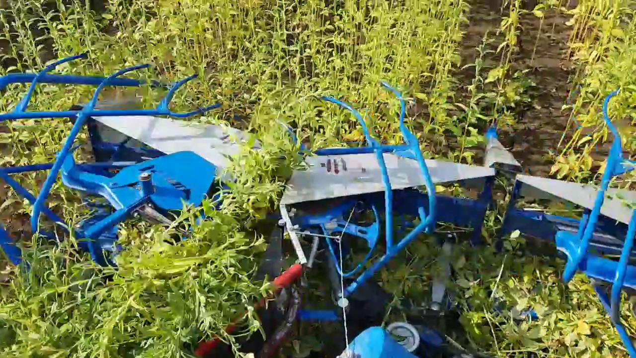 YAPEL CDG 300 REAPER BINDER SICKLE HARVESTING MACHINE SESAME