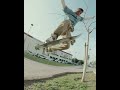 🌿 Element Skateboards "Search" video is now playing!