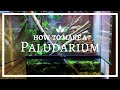 How to build an EPIC Paludarium (From Scratch)!