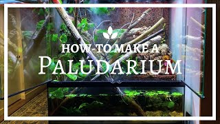 How to build an EPIC Paludarium (From Scratch)!