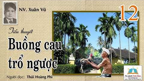BUỒNG CAU TRỔ NGƯỢC. Tập Mười Hai. Tác giả: Xuân Vũ. Người đọc: Thái Hoàng Phi