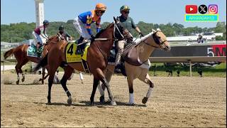 Consistent Obliteration Heavily Favored Returning from Saudi Arabia in 2026 Chick Lang Stakes