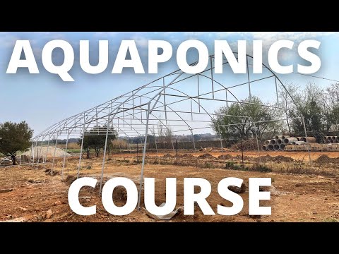 Видео: Aquaponic Build: Функциональная система